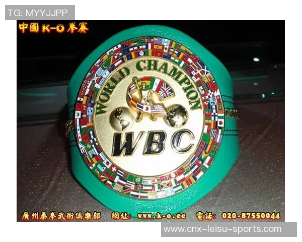 克利钦科与皮特的巅峰对决谁将成为拳坛新王者